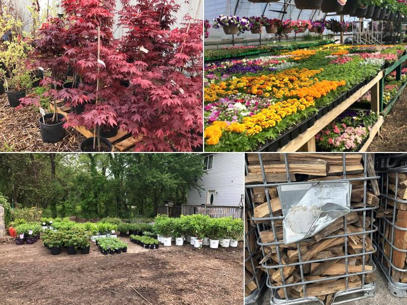 H & S Floral and Garden Center