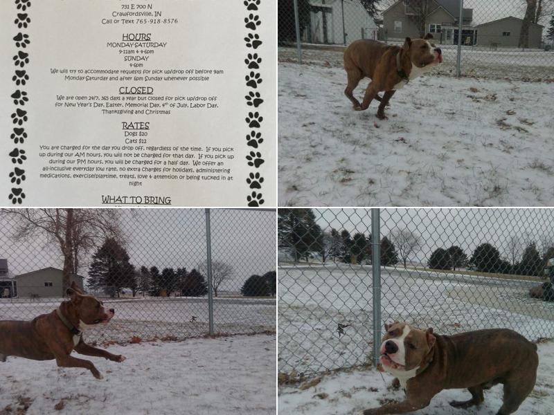 R and R Pet Boarding