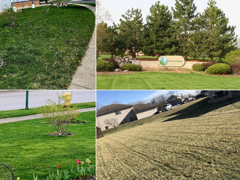 Naturescape Lawn and Landscape Care
