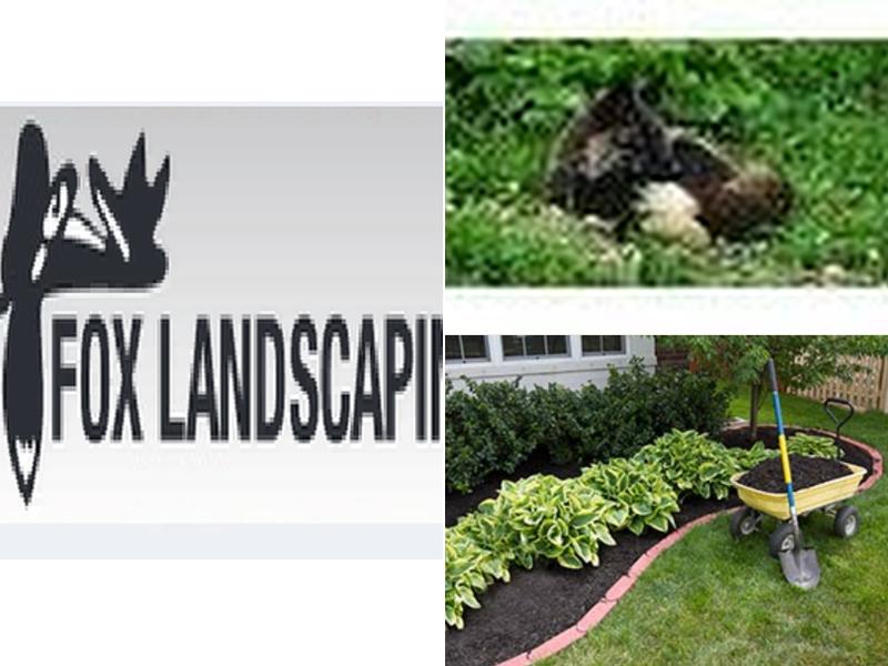 Fox Landscaping