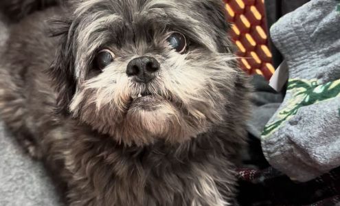 The Salvation Army Family Store & Donation Center Madison