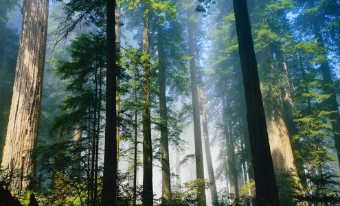 Sequoia Private Wealth Management