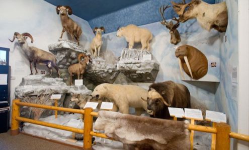 Pierson Wildlife Museum Learning Center Neligh