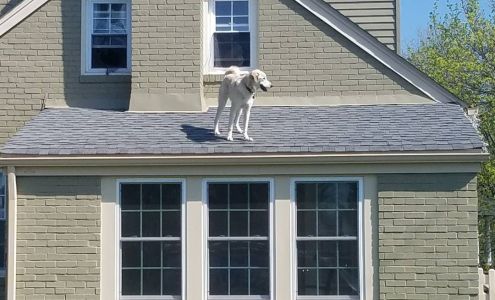 Mark J Fisher Roofing