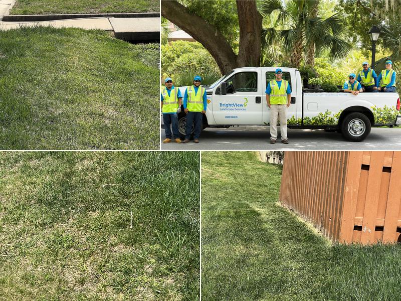 BrightView Landscape