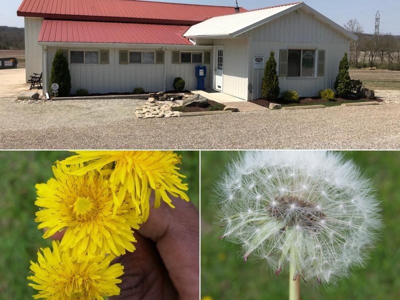 Boatright Development