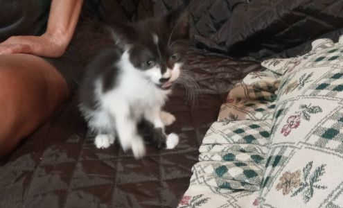 Blue Ribbon Farm & Home Pittsburg