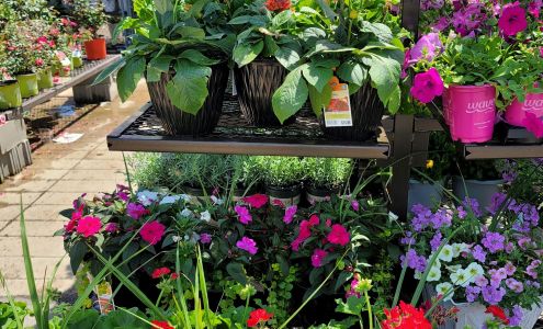 Lowe's Garden Center