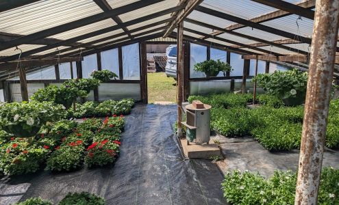 Carson Borovetz Greenhouse