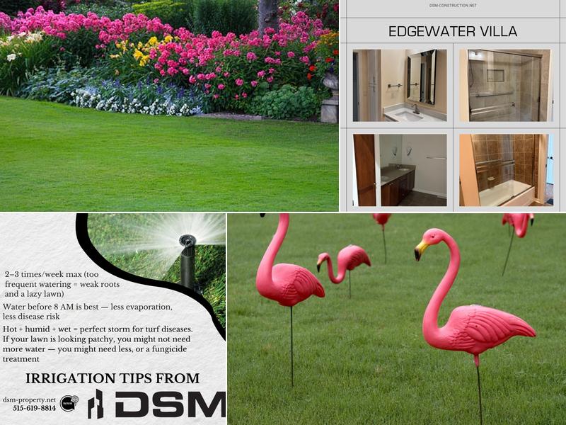 DSM Property and Construction Services LLC