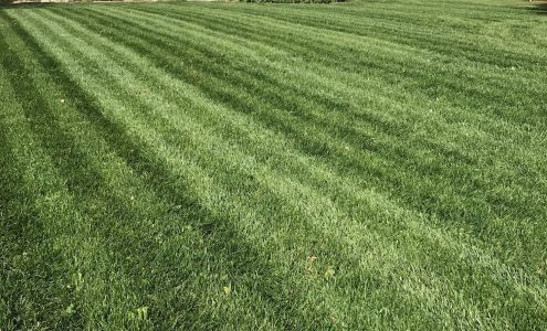 Montgomery Lawn Care LLC