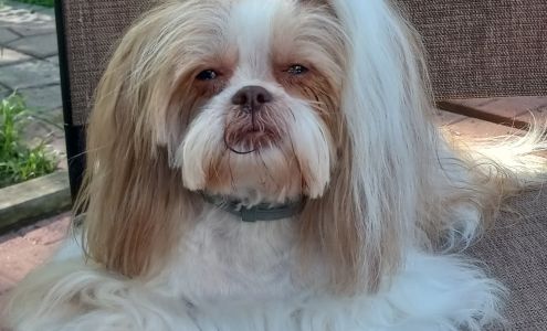 Tammy's Pet Salon & Home Away 6034 Old US Hwy 45 S, Paducah Kentucky 42003