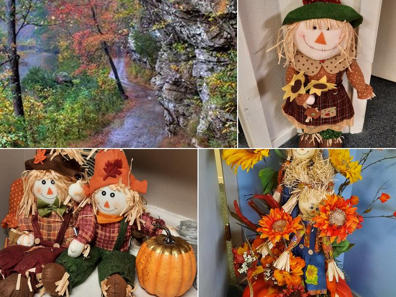 Russell Gorman DDS PA