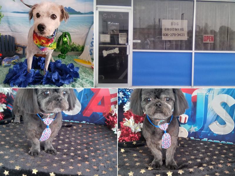 Diamonds in the Ruff grooming Salon