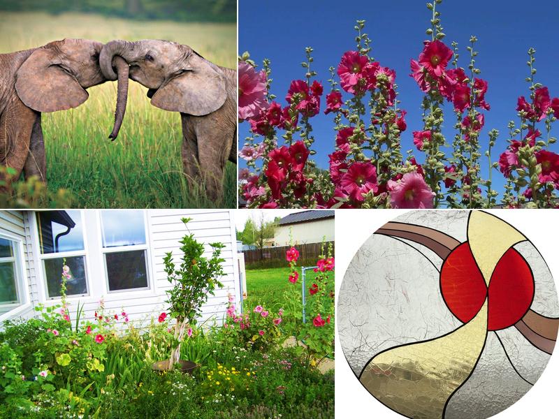 Natural Healthcare Center