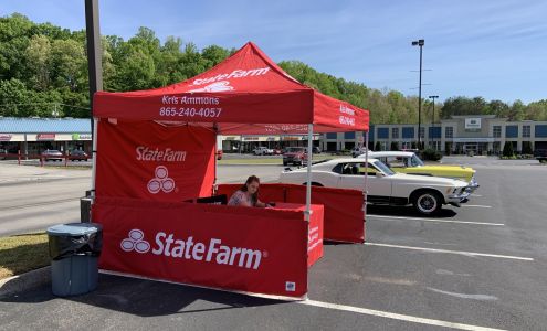 Kris Ammons - State Farm Insurance Agent