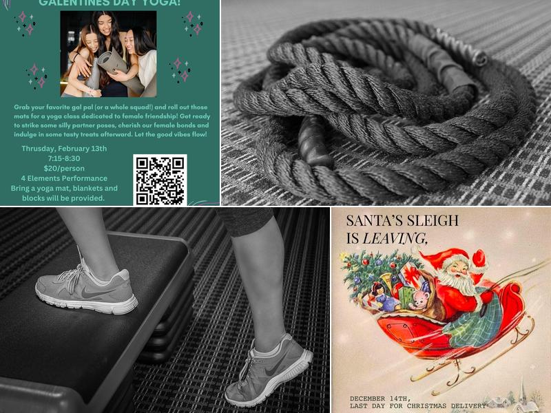 4 Elements Performance L.L.C.