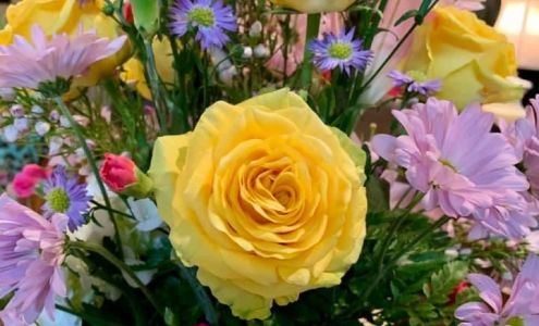 A Gallery of Flowers 2325 E Main St, New Iberia Louisiana 70560