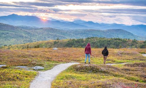 Suzie Laskin - Real Estate Agent: Keller Williams Coastal and Lakes & Mountains Realty North Conway