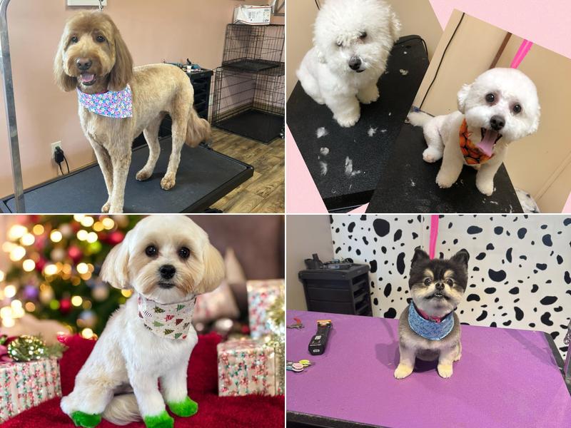 Its All About Me Grooming Spa