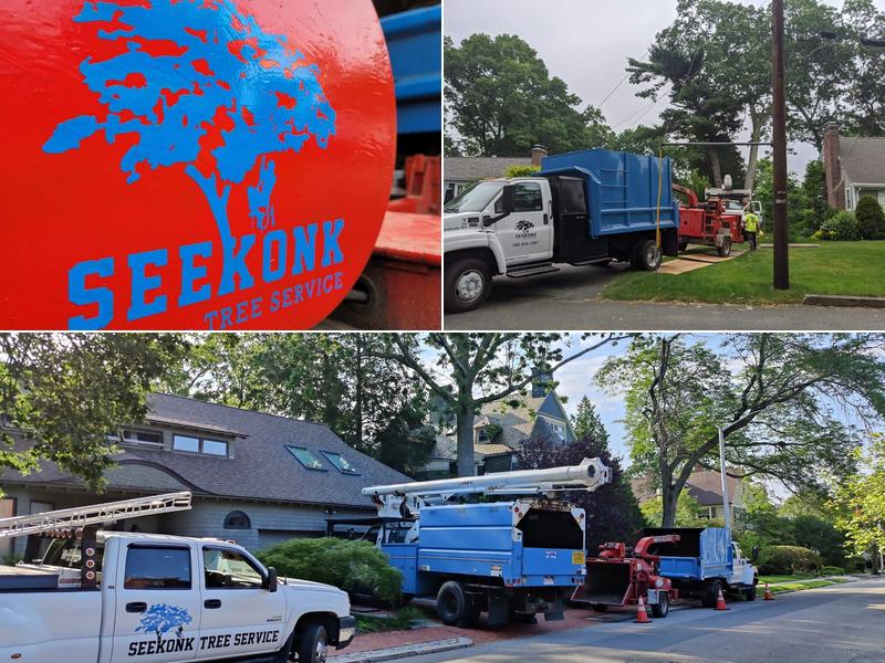 Seekonk Tree Service