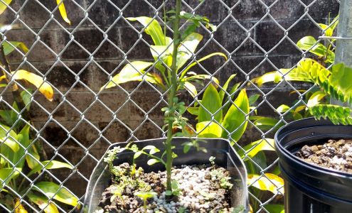 Farm Supply Cooperative, Inc.