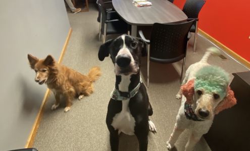 Devin Graham - State Farm Insurance Agent Lake City