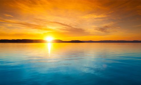 Living Well Realty, Inc.