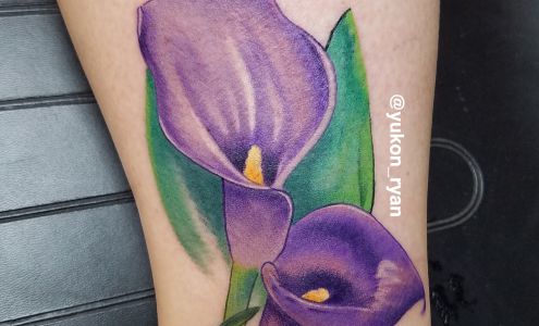 Ryan Zarefoss Tattoos 2695 N Haven Blvd, Cuyahoga Falls Ohio 44223