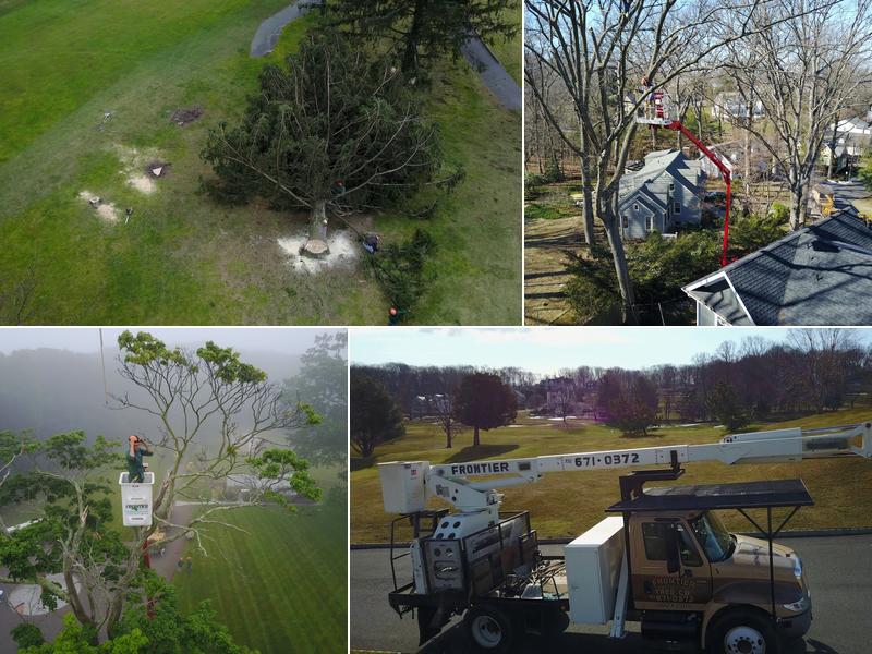 Frontier Tree Company, Inc.