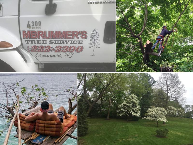 Mark Brummer's Tree Service