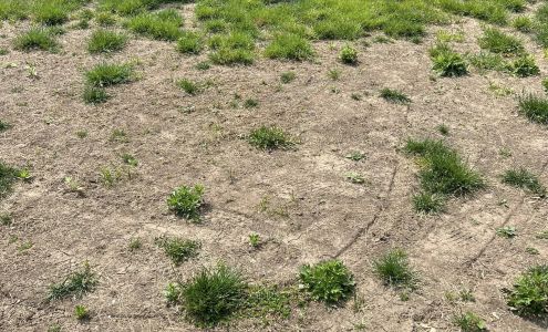 Kelly Green Lawn Care