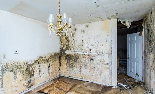 Homestead Water Damage Restoration Experts