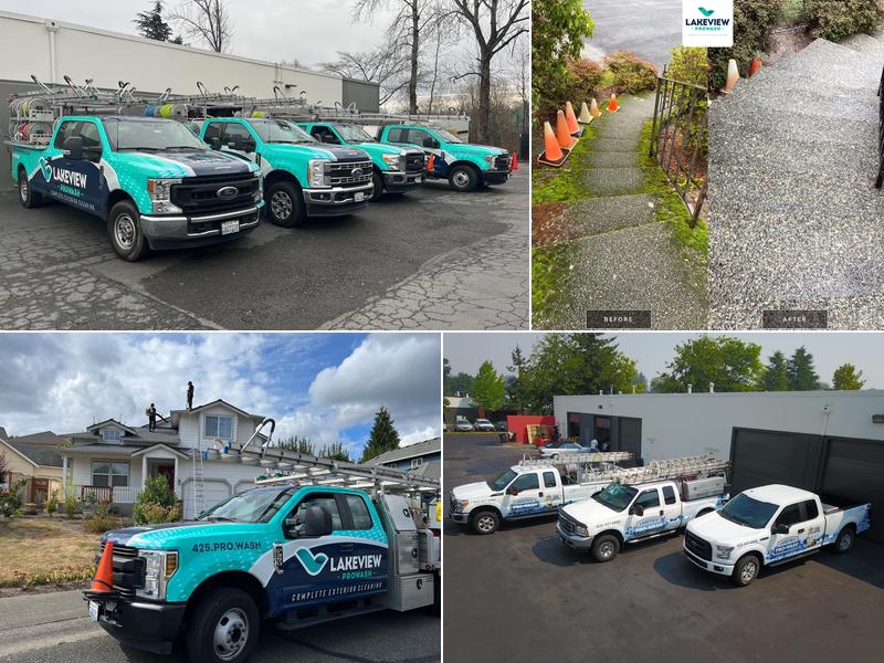 Lakeview ProWash