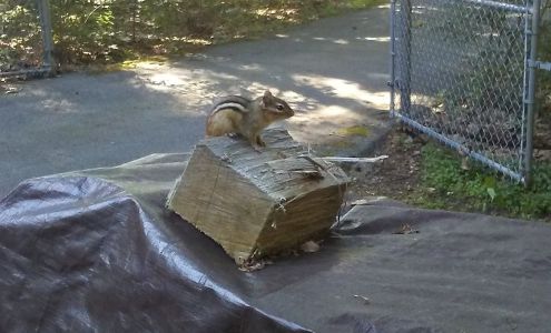 Mike Romano Electric Inc