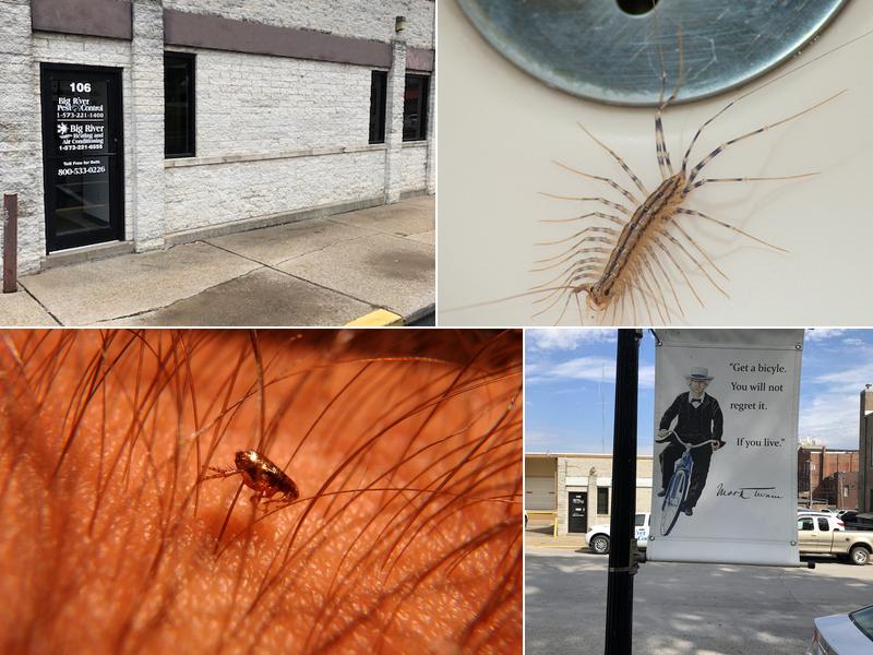 Big River Pest Control