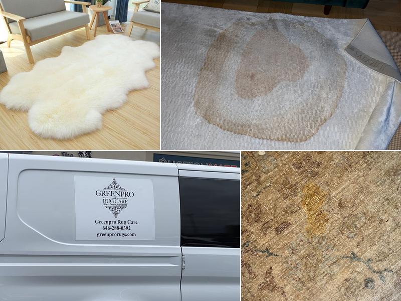 Greenpro Rug Care (Brooklyn, NY)