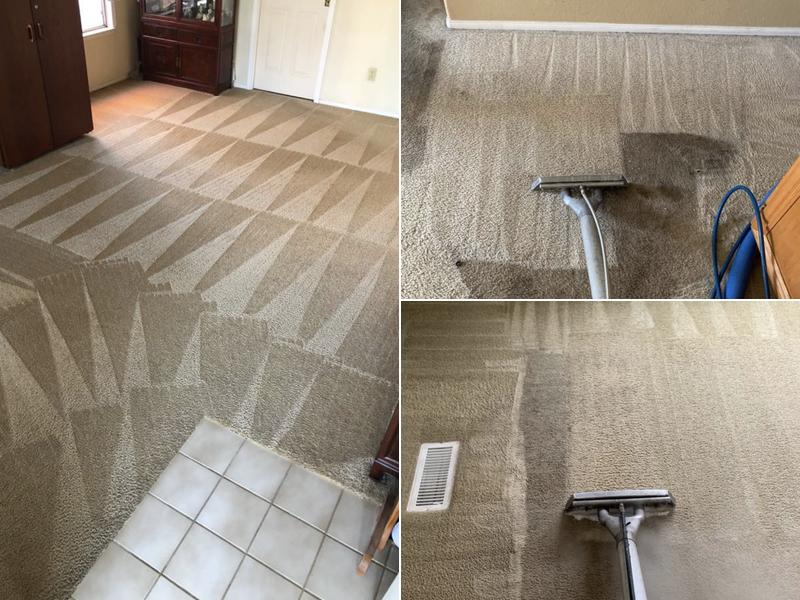 Magic Carpet & Upholstery Cleaning