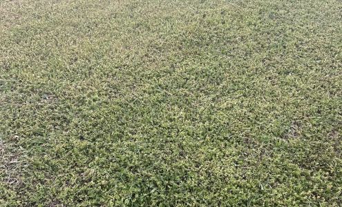 Henderson Lawn Care LLC