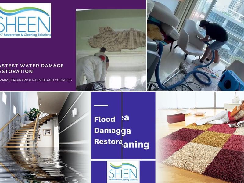 Sheen Restoration and Carpet Cleaning Inc