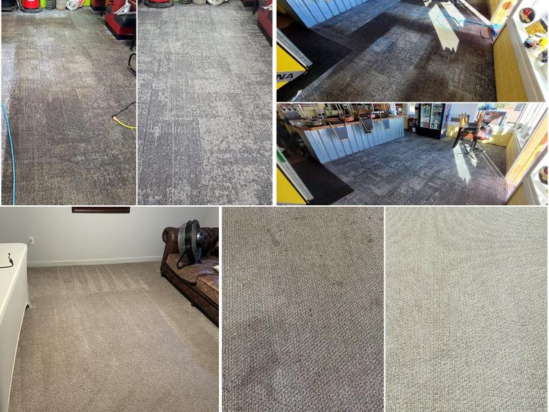 Alliance Carpet Cleaning