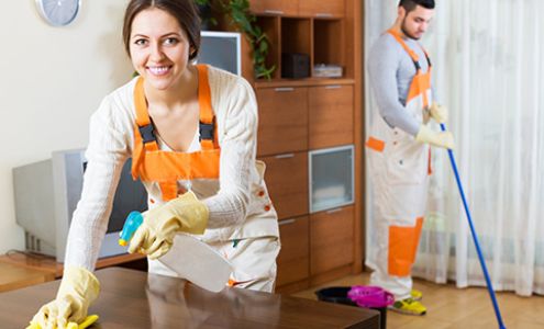 Rosie's Cleaning Services 1152 Graddick Rd, Mt Pleasant South Carolina 29464