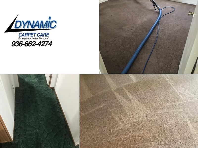 Dynamic Carpet Cleaning & Water Extraction