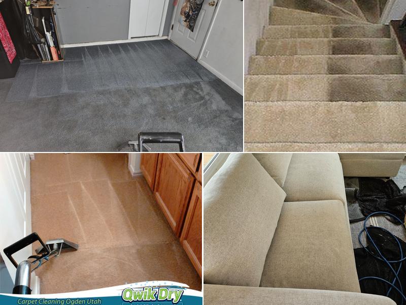 Qwik Dry Carpet & Tile Cleaning Service