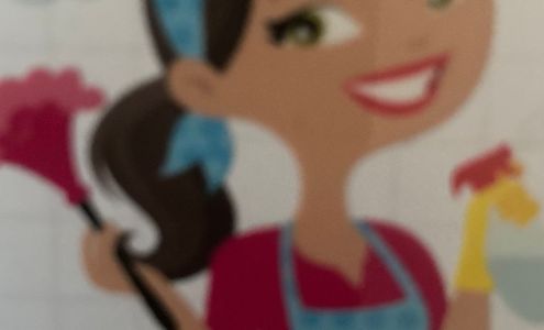 Little me Cleaning Service 817 E Walnut St #7, Green Bay Wisconsin 54301