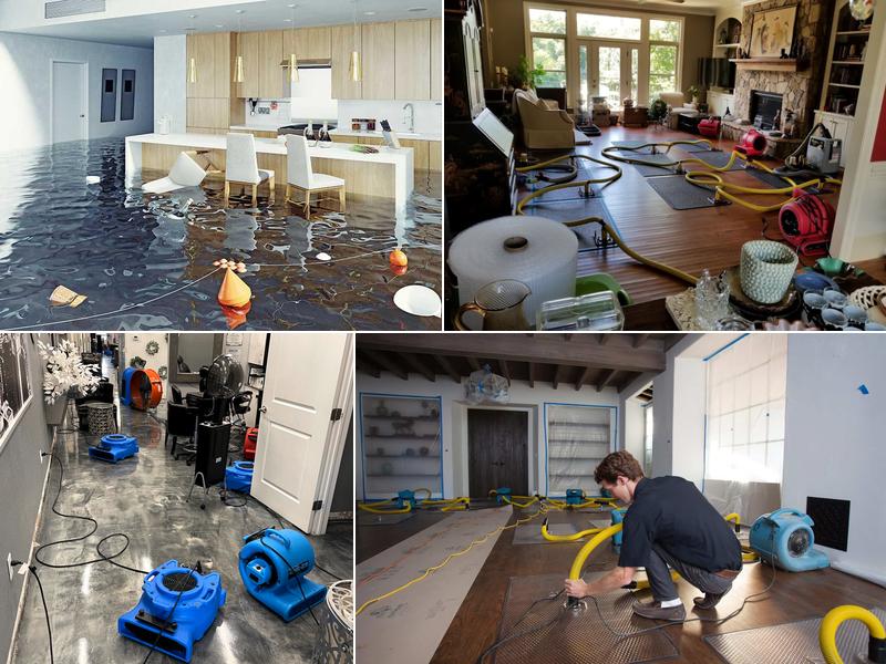 Extreme Water Damage Restoration Wilmington
