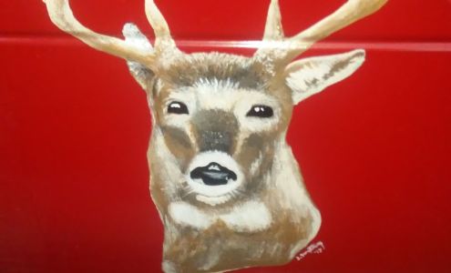 Discount Tire & Battery Jasper