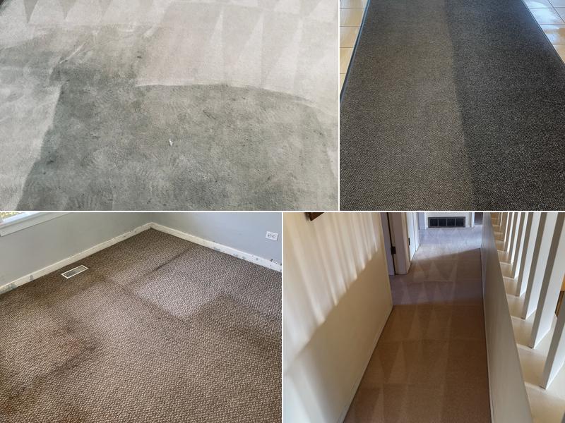 Magic Carpet Steam Cleaning iicrc certified