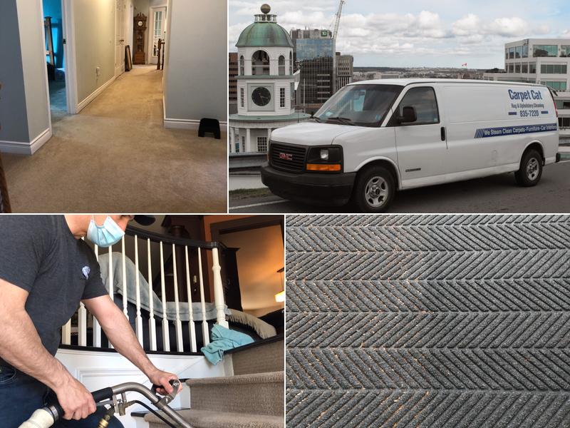 Carpet Cat Company. Carpet, Rug & Upholstry Cleaning