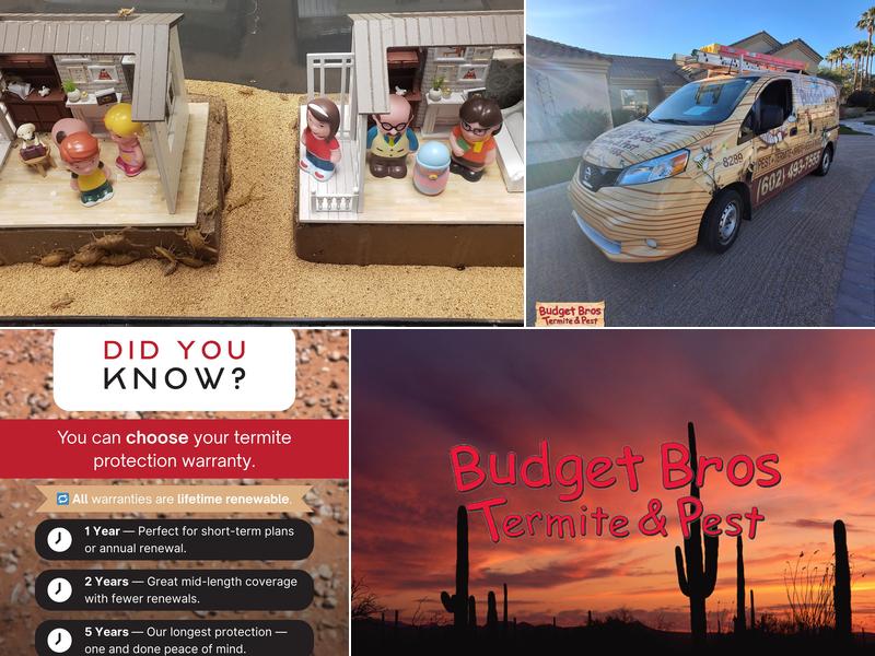 Budget Brothers Termite & Pest Elimination